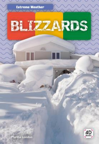 Knjiga Blizzards Martha London