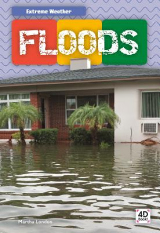 Knjiga Floods Martha London