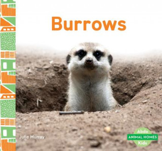 Knjiga Burrows Julie Murray