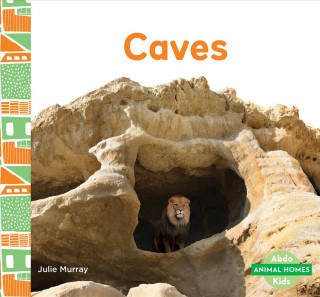 Knjiga Caves Julie Murray