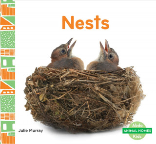 Knjiga Nests Julie Murray