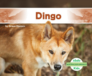 Könyv Dingo Grace Hansen