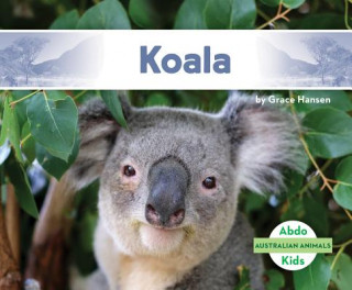 Książka Koala Grace Hansen
