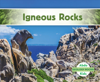 Knjiga Igneous Rocks Grace Hansen
