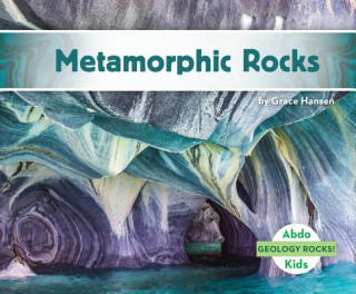 Knjiga Metamorphic Rocks Grace Hansen