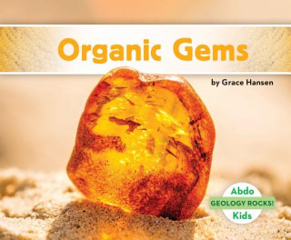 Książka Organic Gems Grace Hansen