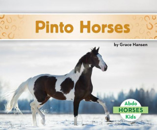 Knjiga Pinto Horses Grace Hansen