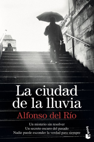 Книга LA CIUDAD DE LA LLUVIA ALFONSO DEL RIO