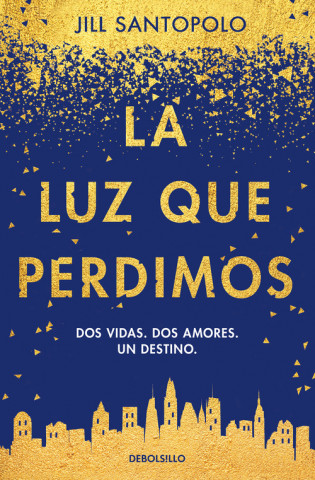 Book La luz que perdimos JILL SANTOPOLO