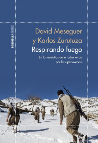 Könyv RESPIRANDO FUEGO DAVID MESEGUER