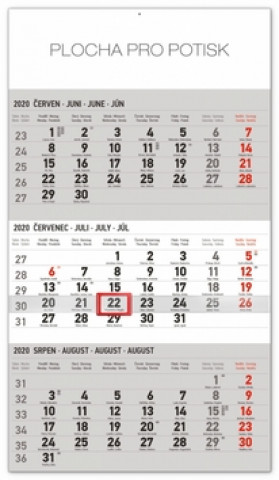Papírszerek Nástěnný kalendář 3měsíční standard šedý 2020 