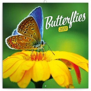 Papírenské zboží Poznámkový kalendář Motýli 2020 