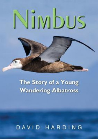 Livro Nimbus David Harding