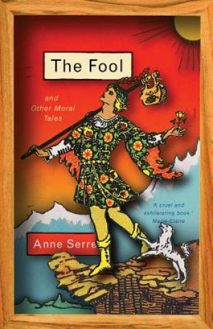 Kniha Fool and Other Moral Tales Anne Serre