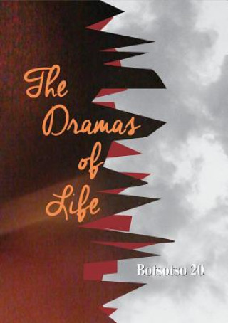 Knjiga Botsotso 20 Allan Kolski Horwitz