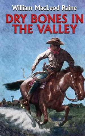 Kniha Dry Bones in the Valley William MacLeod Raine