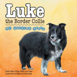 Carte Luke the Border Collie Ssnd Sister Mary Foley