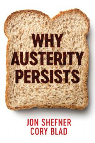 Kniha Why Austerity Persists Jon Shefner