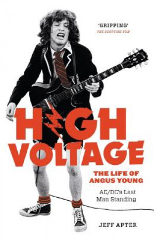 Kniha High Voltage Jeff Apter