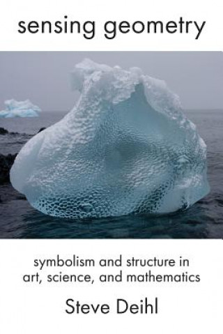 Knjiga Sensing Geometry Steve Deihl