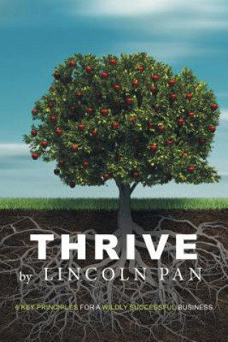 Könyv Thrive Lincoln Pan