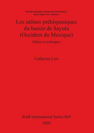 Kniha Salines Prehispaniques Du Bassin De Sayula (Occident Du Mexique) Catherine Liot