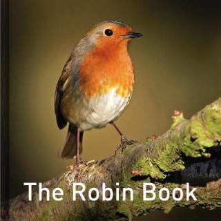 Book Robin Book Jane Russ