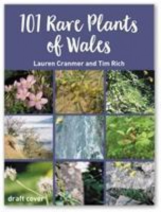 Kniha 101 Rare Plants of Wales Tim Rich