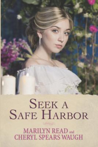 Libro Seek a Safe Harbor Marilyn Read
