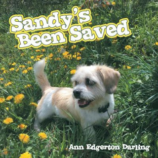 Kniha Sandy's Been Saved Ann Edgerton Darling