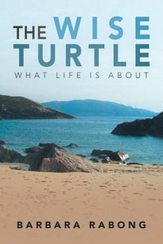 Kniha Wise Turtle Barbara Rabong