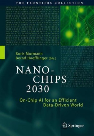 Carte NANO-CHIPS 2030 Boris Murmann