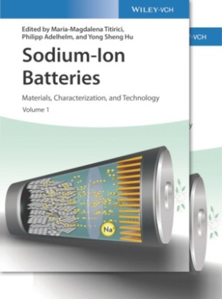 Könyv Sodium-Ion Batteries - Materials, Characterization , and Technology 