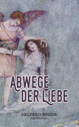 Kniha Abwege der Liebe Siegfried Binder