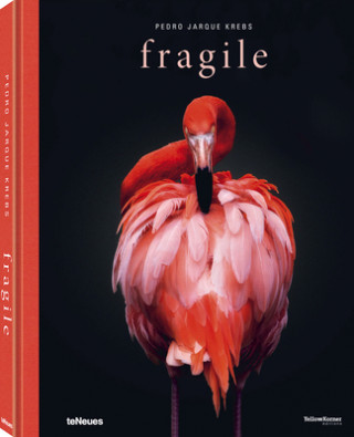 Книга Fragile Pedro Jarque Krebs