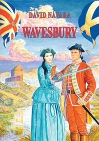 Książka Wavesbury David Návara