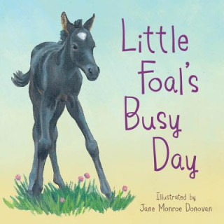 Carte Little Foal's Busy Day Sleeping Bear Press