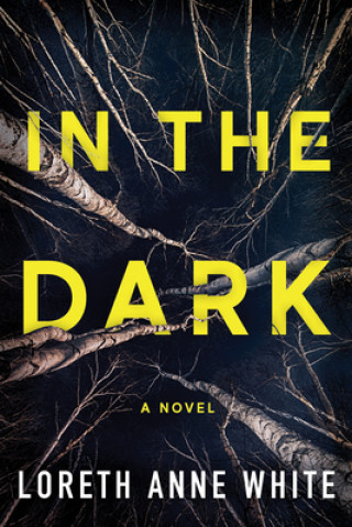 Kniha In the Dark Loreth Anne White