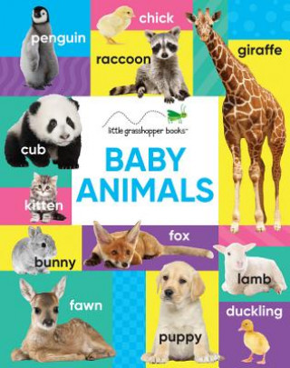 Kniha Baby Animals (Large Padded Board Book) West Side Publishing