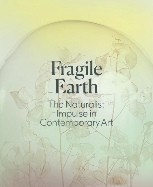 Книга Fragile Earth Jennifer Stettler Parsons