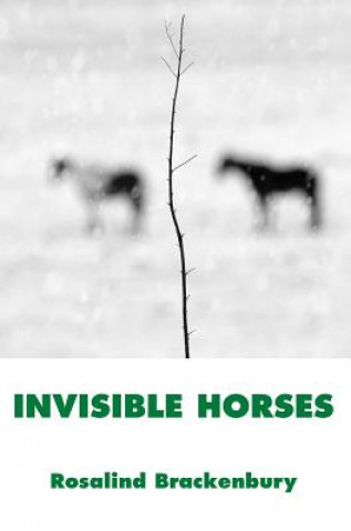 Kniha Invisible Horses Rosalind Brackenbury