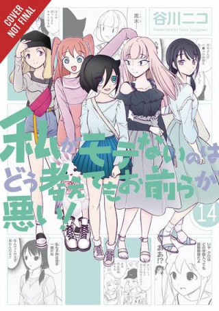 Kniha No Matter How I Look at It, It's You Guys' Fault I'm Not Popular!, Vol. 14 Nico Tanigawa