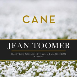 Digital Cane Jean Toomer