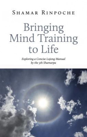 Könyv Bringing Mind Training to Life Shamar Rinpoche