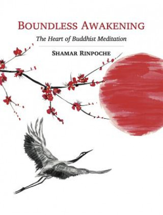 Książka Boundless Awakening Shamar Rinpoche