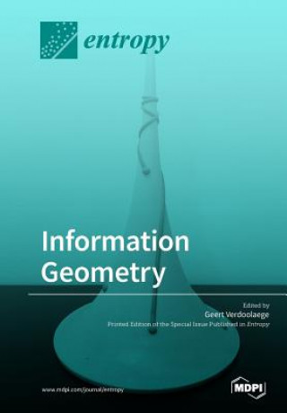 Książka Information Geometry 