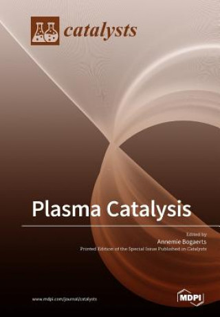 Kniha Plasma Catalysis 