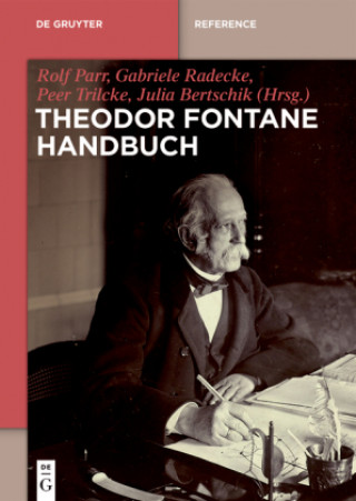 Kniha Theodor Fontane Handbuch Rolf Parr