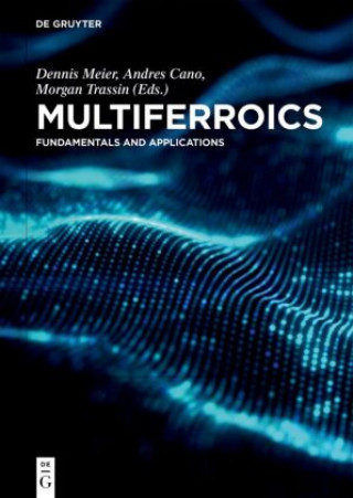 Knjiga Multiferroics Dennis Meier