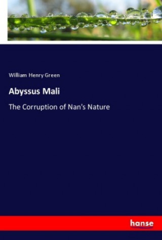 Knjiga Abyssus Mali William Henry Green